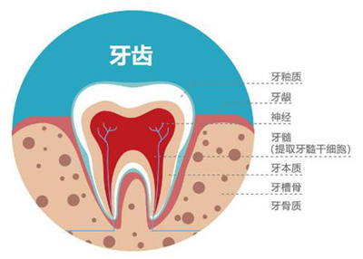 乳牙牙髓干细胞治疗是骗局吗？