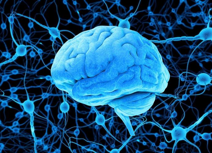 牙髓干细胞在神经系统修复中的临床应用前景